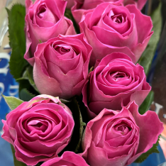 Кенийская роза H3o 50 см фото