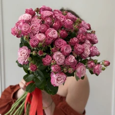 11 кущових троянд Lady Bombastic 