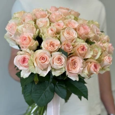 33 троянда Кімберлі 