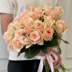 33 троянда Кімберлі 