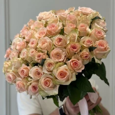 51 троянда Кімберлі 