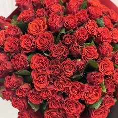 77 червоних троянд Eltoro 50 см 