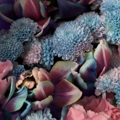 Букет квітів "Blue Petal Kiss" 